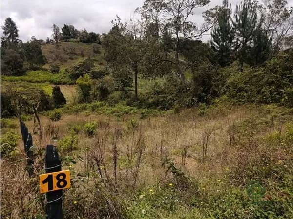Finca rústica de 0,39 ha en venta en Antioquia