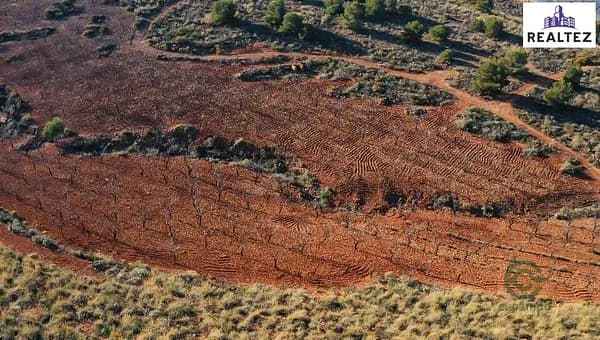 Finca agrícola de 4,5659 ha en venta en Alcolea, Almeria