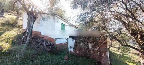 Finca agrícola de 1,9778 ha en venta en Fuentes de león, Badajoz