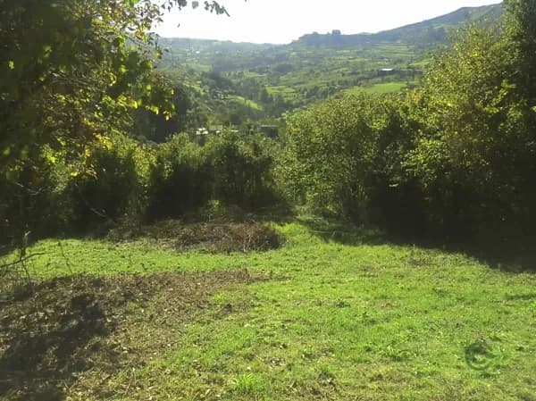 Finca rústica de 0,2 ha en venta en Asturias