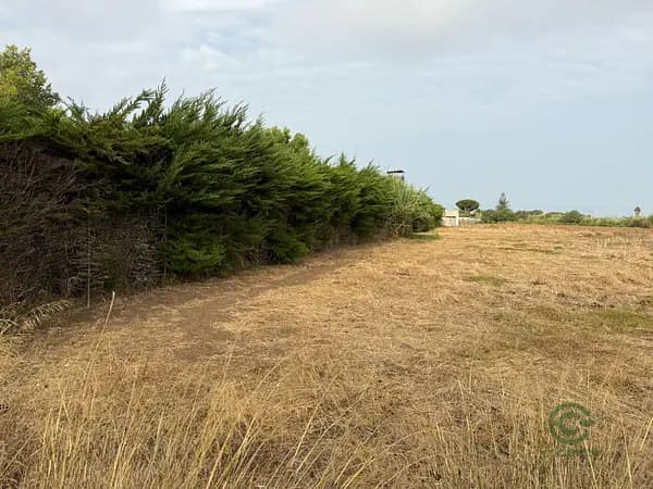 Finca rústica de 0,4 ha en venta en Cádiz
