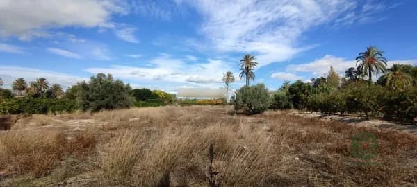 Finca de recreo de 0,6445 ha en venta en Elche pedanias, Alicante