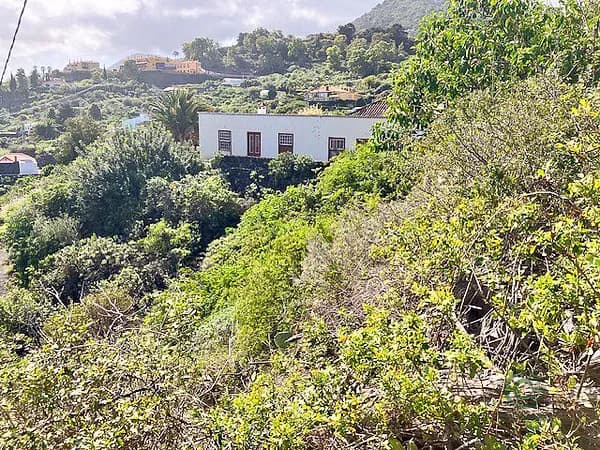 Finca de recreo de 3,5 ha en venta en Santa cruz de tenerife