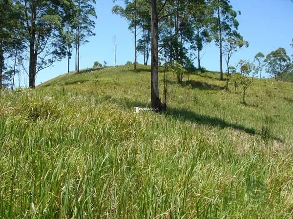Terra urbana de 21000 ha para venda em São paulo