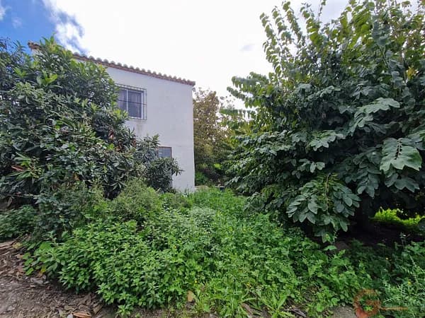 Finca rústica de 0,74 ha en venta en Salobreña, Granada