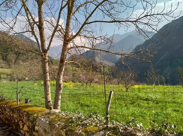 Finca rústica de 0,13 ha en venta en Asturias