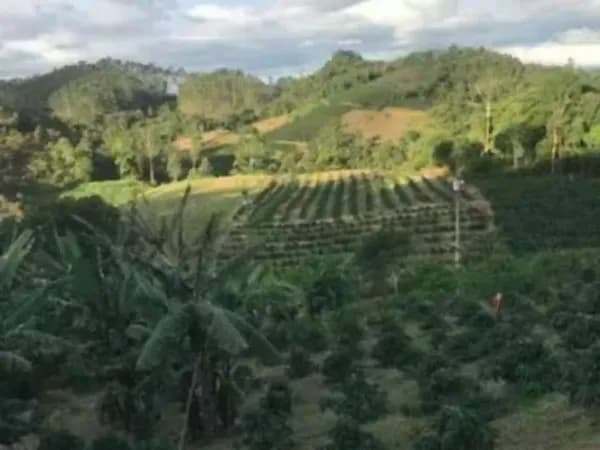 Fazenda agrícola de 72,6 ha para venda em Espírito santo