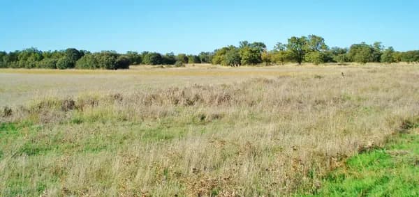 Finca rústica de 2500 ha en venta en Valladolid