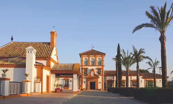 Finca rústica de 506 ha en venta en Sevilla