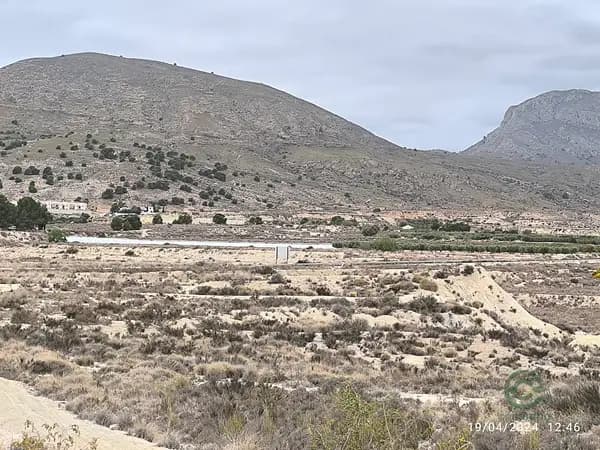Finca rústica de 2 ha en venta en Murcia