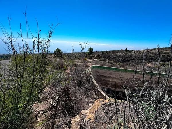 Finca agrícola de 0,6054 ha en venta en Fasnia, Santa cruz de tenerife