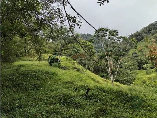 Finca rústica de 0,3 ha en venta en Antioquia