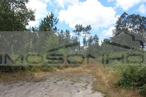 Terreno urbano de 1,0712 ha en venta en Marinha grande, Leiria