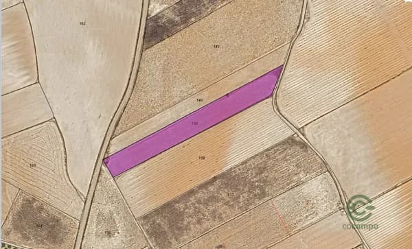 Finca rústica de 0,6931 ha en venta en Yecla, Murcia