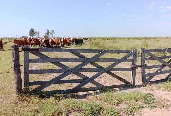 Finca rústica de 256 ha en venta en Santa fe