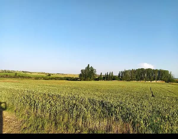 Finca agrícola de 15 ha en alquiler en Soria