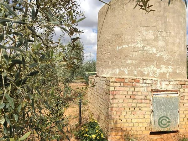 Finca rústica de 0,64 ha en venta en Pilas, Sevilla