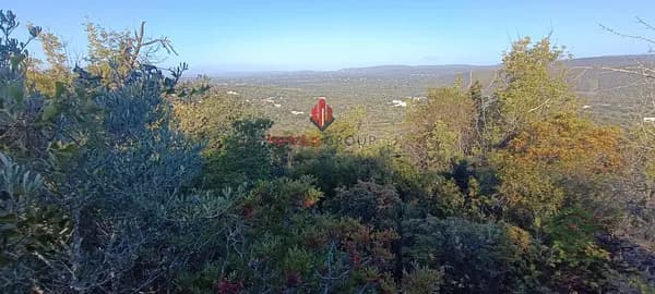 Finca agrícola de 0,368 ha en venta en Albufeira, Faro