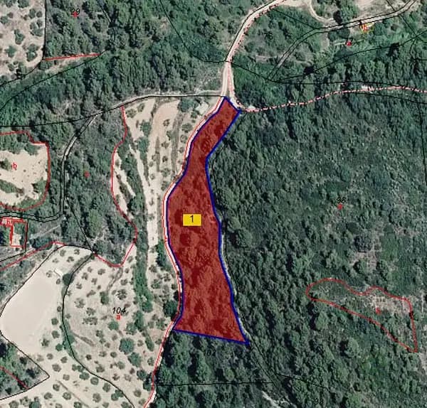 Finca rústica de 0,3 ha en venta en Castellón