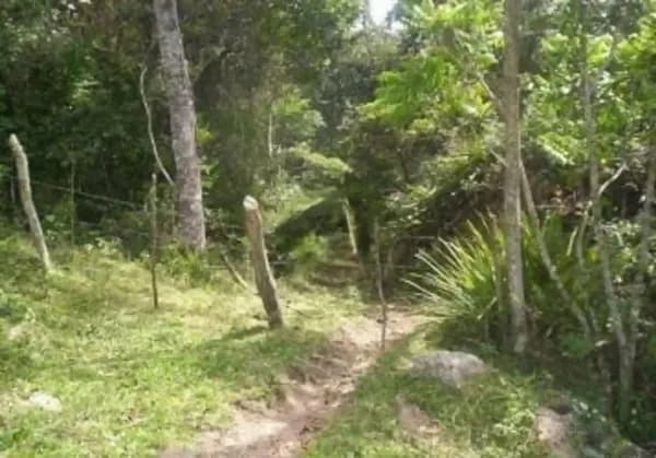 Fazenda rustica de 17,3 ha para venda em Santa catarina