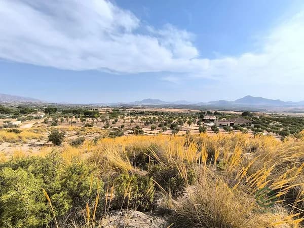 Finca rústica de 1,5 ha en venta en Sax, Alicante