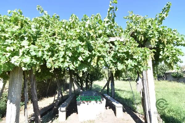 Finca agrícola de 0,32 ha en venta en Ciudad rodrigo, Salamanca