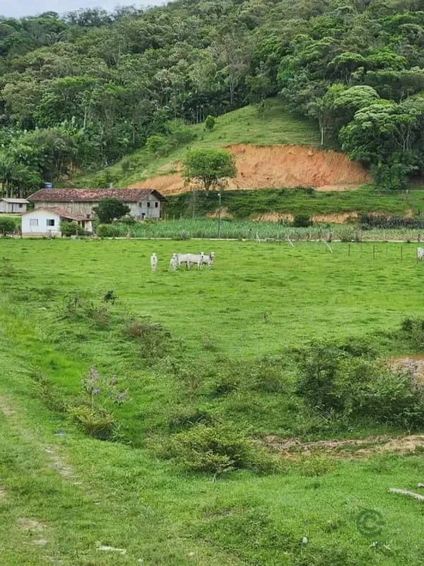 Fazenda rustica de 2,4 ha para venda em Santa catarina