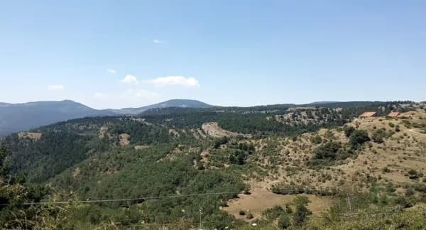 Finca rústica de 128 ha en venta en Teruel