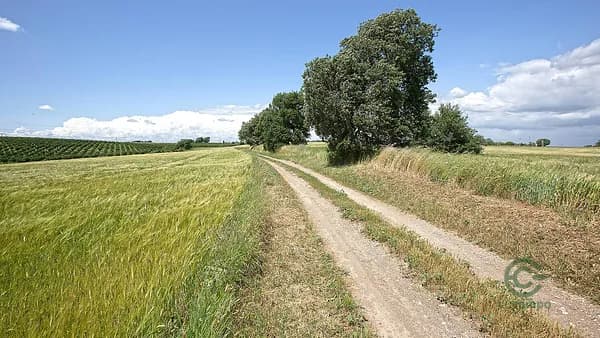 Finca rustica di 16 ha per vendita a Lazio