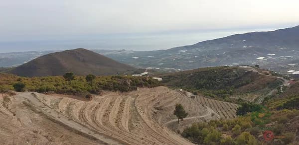 Finca agrícola de 1,7 ha en venta en Molvízar, Granada