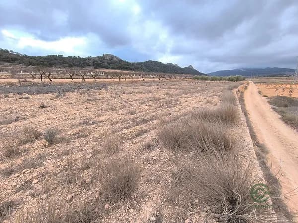 Finca rústica de 0,3132 ha en venta en Pinoso, Alicante