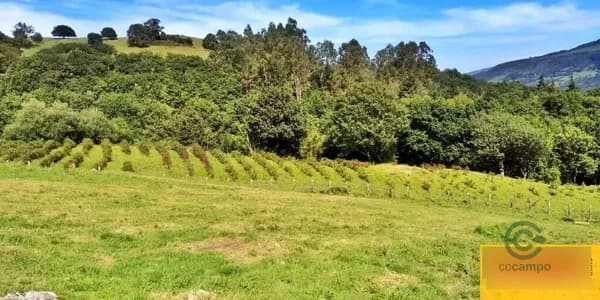 Finca rústica de 4,8 ha en venta en San vicente de toranzo, Cantabria