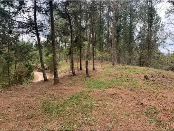 Finca rústica de 0,642 ha en venta en Antioquia