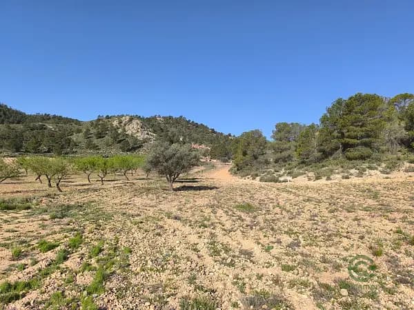 Finca agrícola de 0,97 ha en venta en Yecla, Murcia