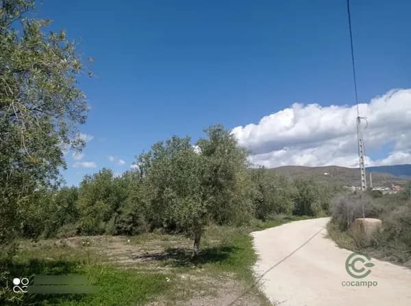 Finca agrícola de 0,39 ha en venta en Gergal, Almeria
