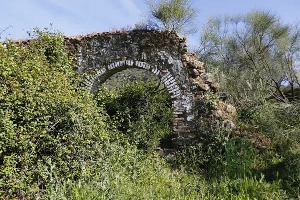 Finca rústica de 98 ha en venta en Huelva