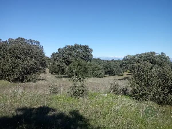 Finca rústica de 12 ha en venta en Toledo