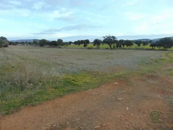 Finca agrícola de 3,9 ha en venta en Viso del marques, Ciudad real