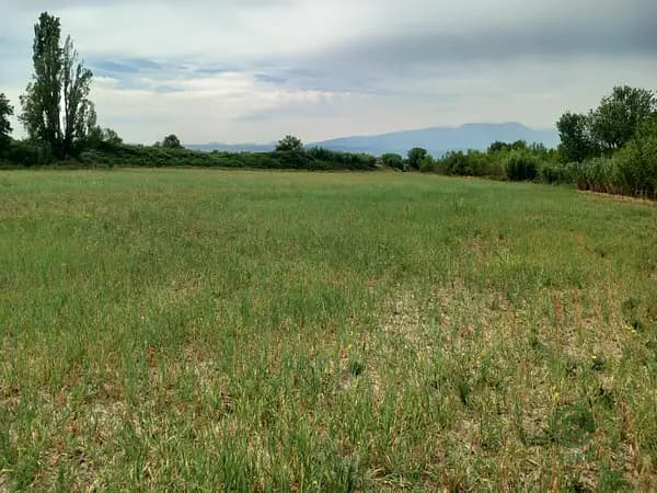 Finca agrícola de 0,56 ha en venta en Zaragoza