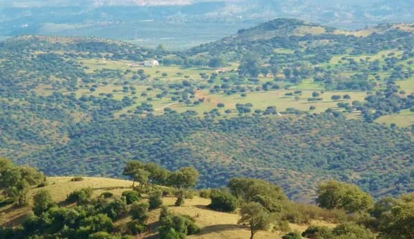 Finca rústica de 1300 ha en venta en Jaén