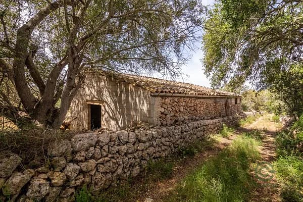 Finca rústica de 63 ha en venta en Costitx, Baleares