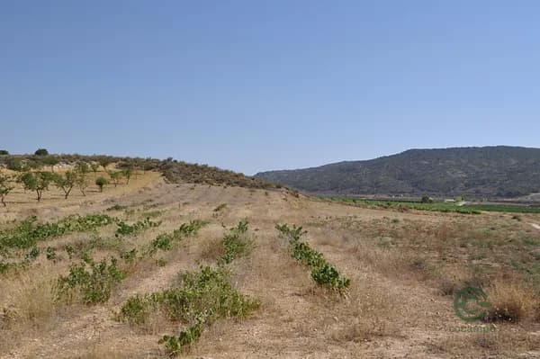 Finca agrícola de 0,3037 ha en venta en Pinoso, Alicante