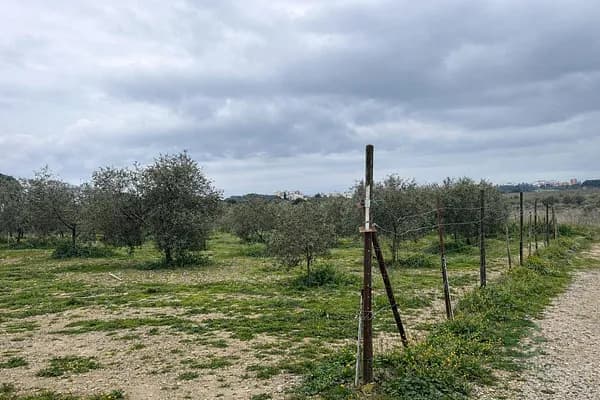 Finca agrícola de 0,0702 ha en venta en Gerona