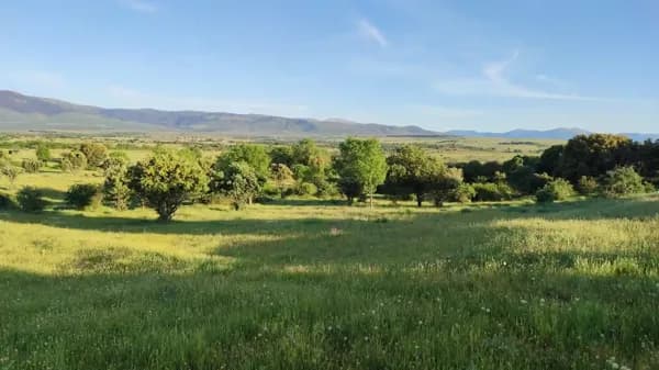 Finca rústica de 12,5 ha en venta en Segovia