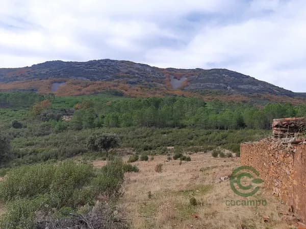 Finca rústica de 193 ha en venta en Cáceres
