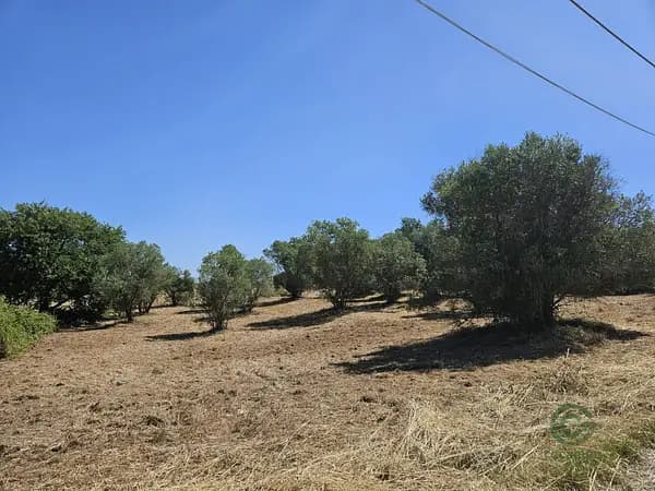 Finca agricola di 1,2 ha per vendita a Lazio