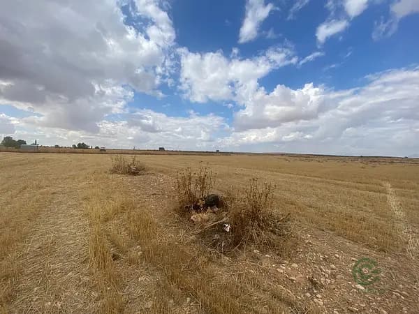 Finca agrícola de 2,6 ha en venta en Ciudad real