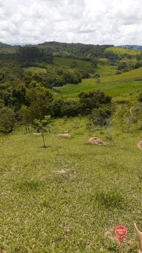 Fazenda rustica de 61,5 ha para venda em Minas gerais
