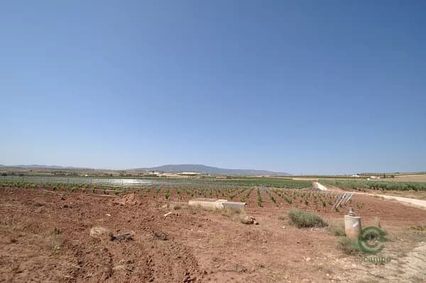 Finca agrícola de 0,29 ha en venta en Pinoso, Alicante