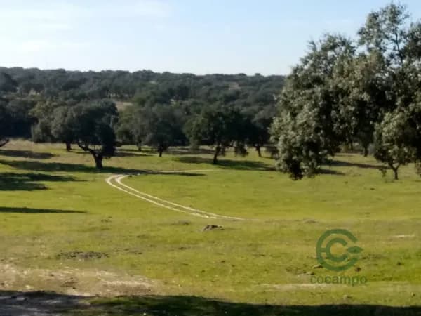 Finca rústica de 340 ha en venta en Toledo